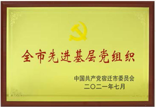 ȫ���Ƚ��²㵳��֯