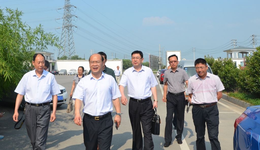 ���ֲ�-�Ƿ�������,�������޿���