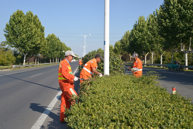 97232a142afb3e6f38d36bc579a4bd35 2(4).JPG